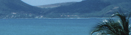 www.traveljungle.co.uk